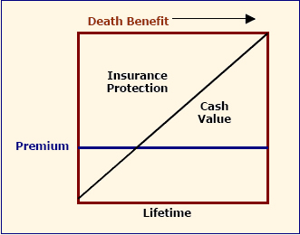 Whole Life Graph