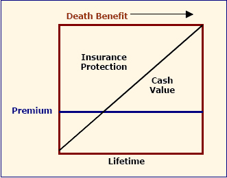Whole Life Insurance Cash Value Chart